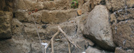 2006-08-23_0148_samryan