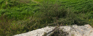 Pano_5_g