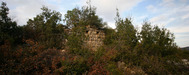 Pano_2_g